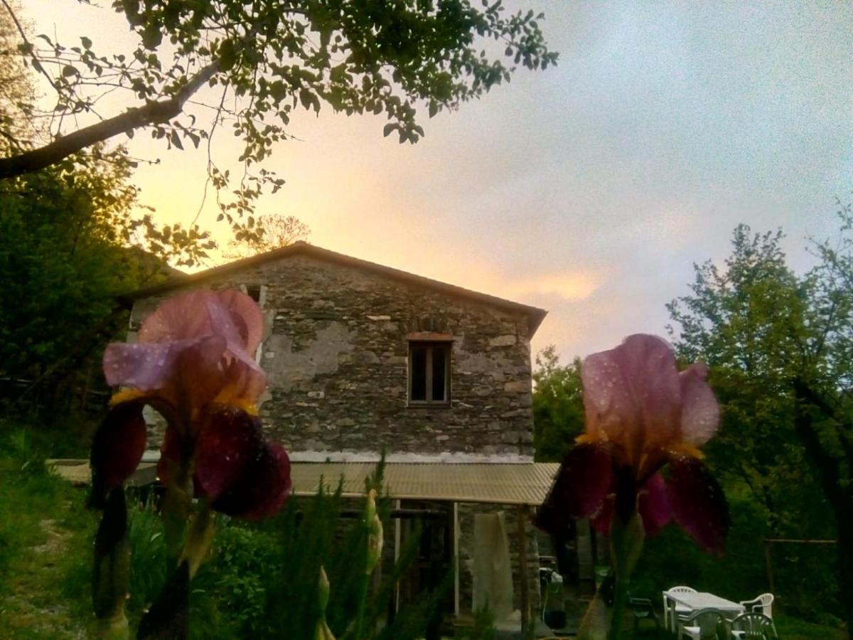 B&B Stefano Neirone Buitenkant foto