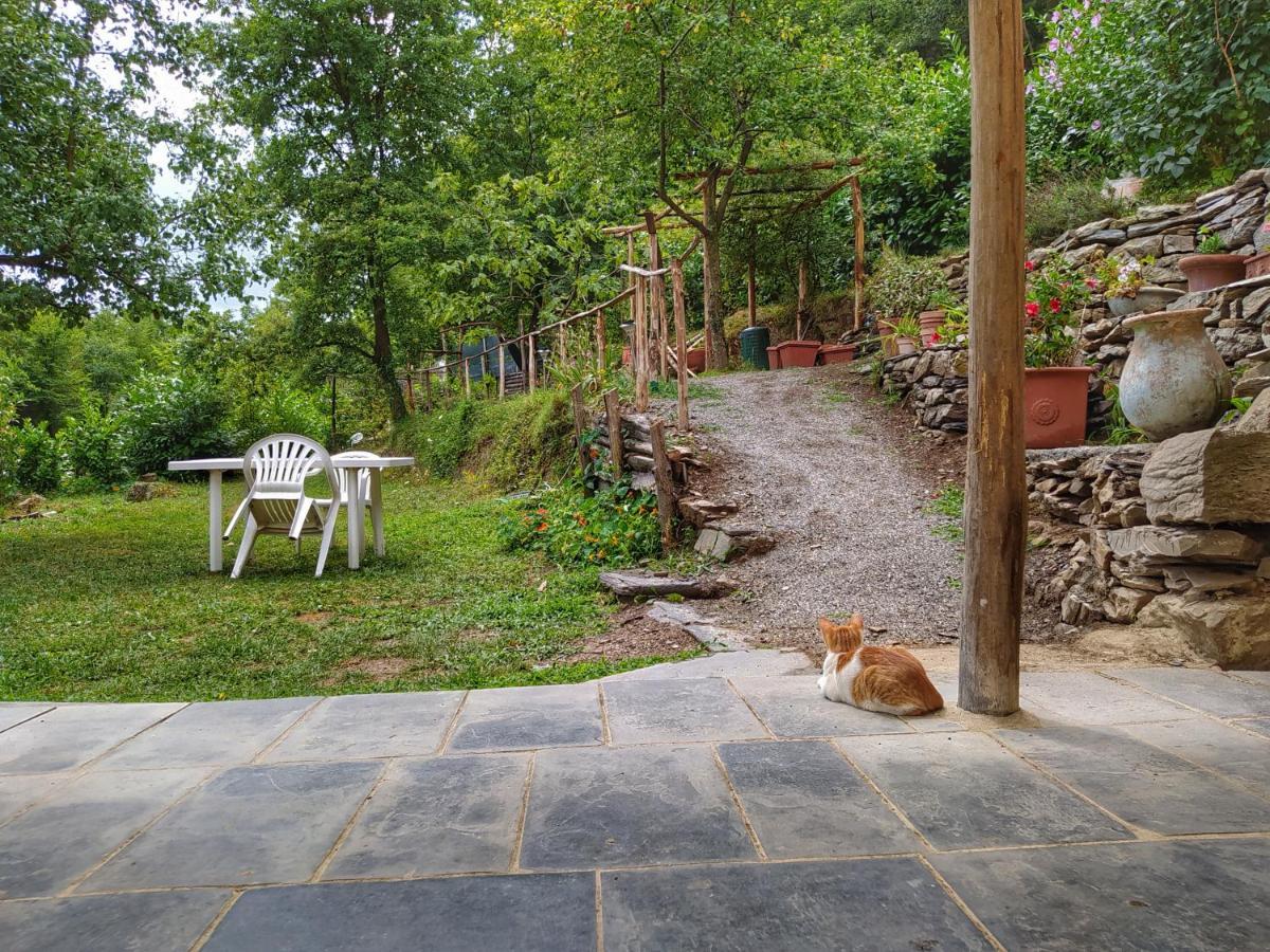 B&B Stefano Neirone Buitenkant foto